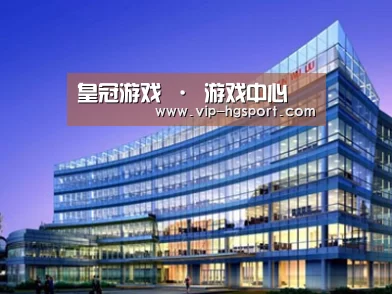 案例展示五