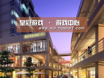 案例展示一