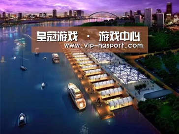 案例展示八