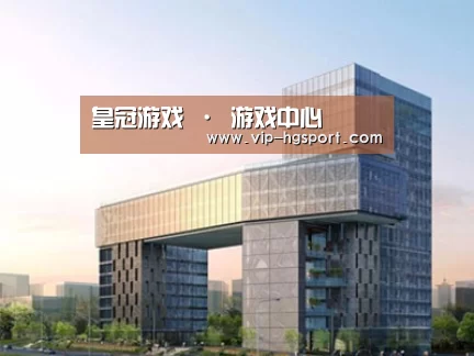 案例展示四