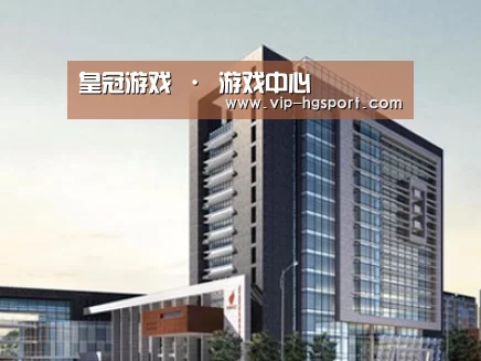 案例展示七
