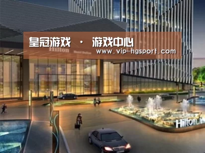 案例展示二