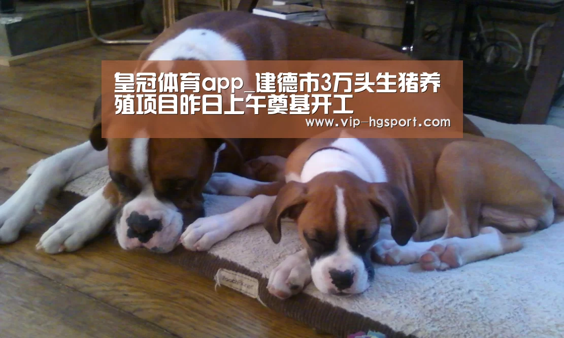 皇冠体育app_建德市3万头生猪养殖项目昨日上午奠基开工(图1) 皇冠体育下载
