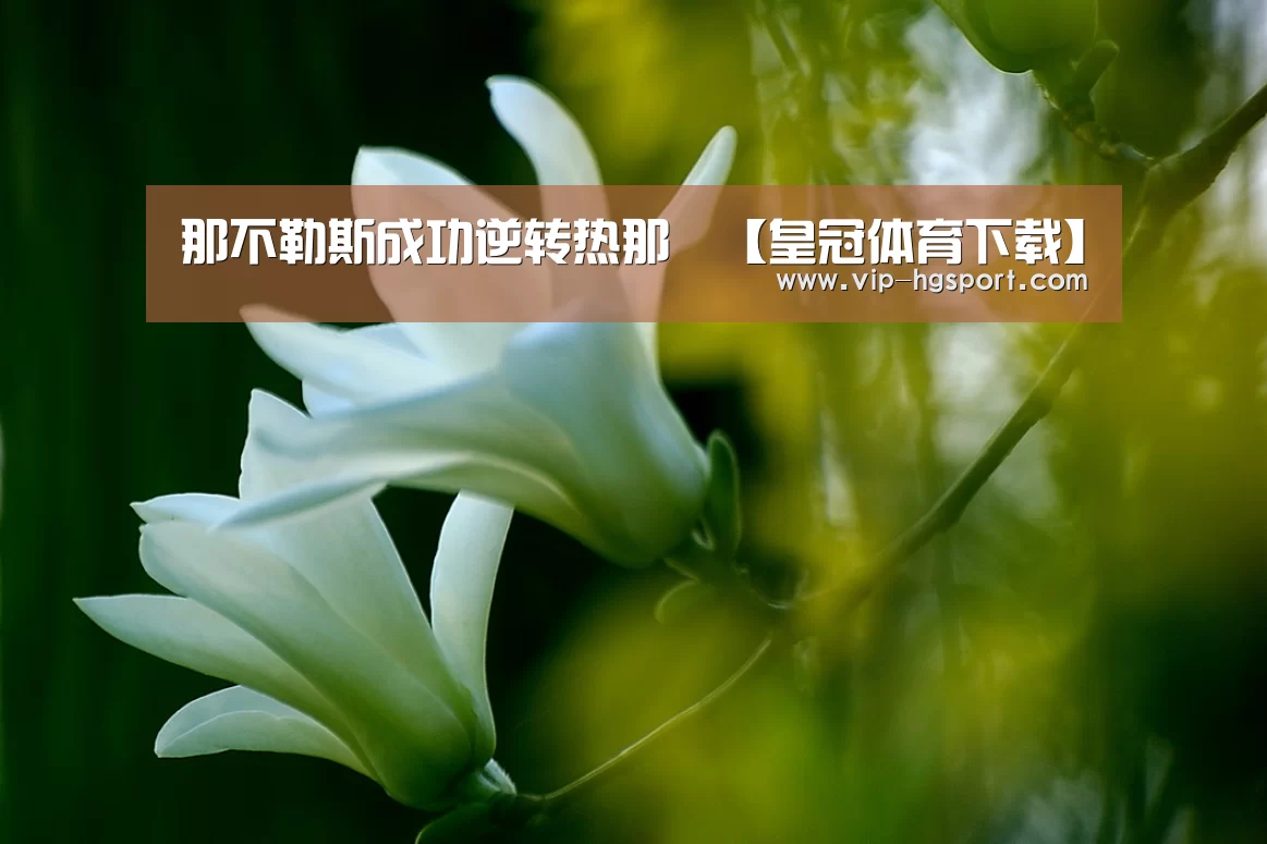 那不勒斯成功逆转热那亞【皇冠体育下载】(图2) 皇冠体育下载