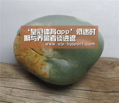 ‘皇冠体育app’低迷时期与养禽者谈进退(图4) 皇冠体育app